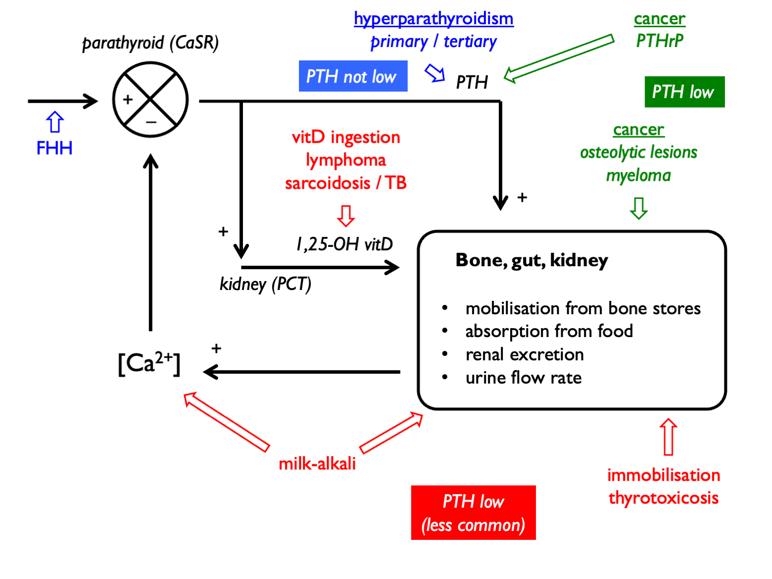 Chapter 8 Calcium | Nephromaths